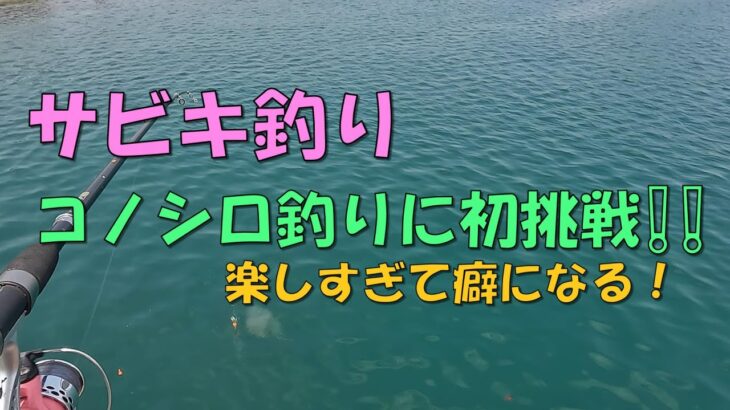 【サビキ釣り】熊本の海で釣りしてみた❕❕コノシロ釣りに初挑戦❕❕この引きは楽し過ぎて癖になる！