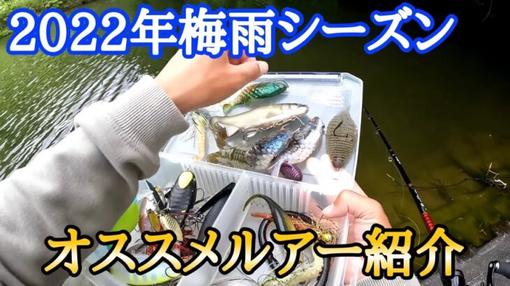 【バス釣り】これからのシーズンはコレ！