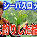 シーバスタックルでブラックバス攻略【村岡昌憲切り抜き】