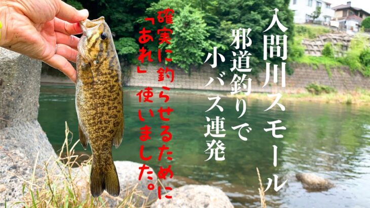 【入間川バス釣り】小学生にバス釣り体験♫邪道釣りで豆スモール入れ食い！