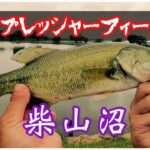 ハイプレッシャーフィールド柴山沼【バス釣り】