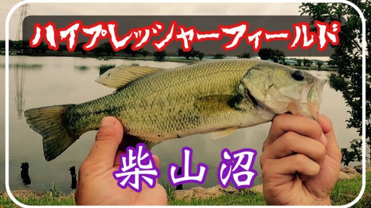 ハイプレッシャーフィールド柴山沼【バス釣り】