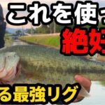 【バス釣り】毎回釣れている最強リグがこちら！（釣り）（ブラックバス ）（夏バス）