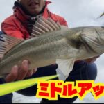 梅雨の釣りは、シーバス釣り入門にオススメです。