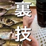 【解説,実釣動画付き】サビキ釣りでこれをするだけでアジが爆釣する裏技。