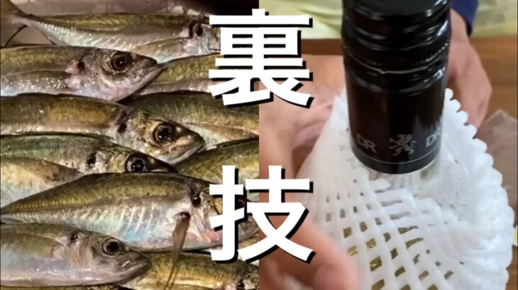 【解説,実釣動画付き】サビキ釣りでこれをするだけでアジが爆釣する裏技。