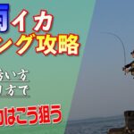 梅雨イカの狙い方はこれ！渋くなる梅雨はこうしゃくれば釣果が上がる