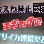 【エギング】普段行かないポイントでイカ釣りしたら！！まさか#福岡釣り