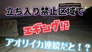 【エギング】普段行かないポイントでイカ釣りしたら！！まさか#福岡釣り