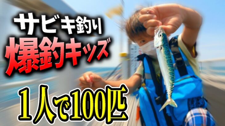 【釣り】北九州おすすめの釣りスポットでサビキ釣りしたら、釣れすぎました…【脇田海釣り桟橋】