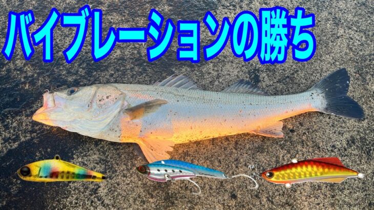 【シーバス釣り】春の酒田沖堤防。ビットブイにアイアンプレートにキックビートにバイブレーション最強！