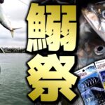 【爆釣】サビキ釣りでも戦略はある！スレても釣果は復活できる！「参戦！湾内のイワシ祭」