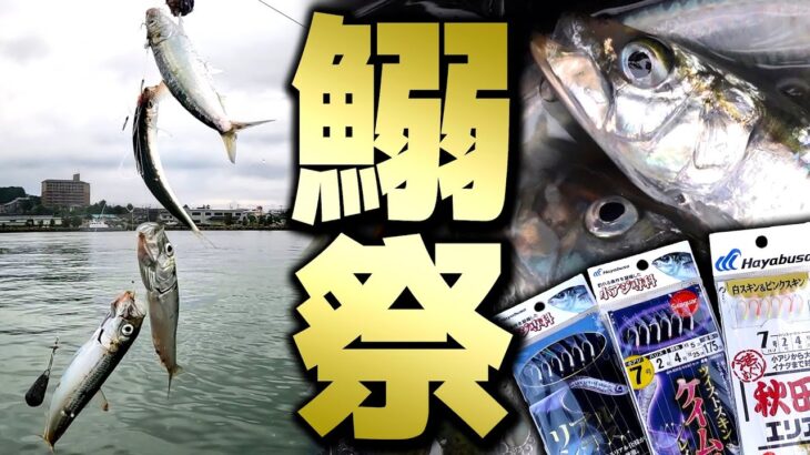 【爆釣】サビキ釣りでも戦略はある！スレても釣果は復活できる！「参戦！湾内のイワシ祭」