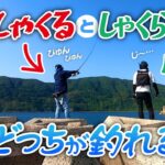 【疑問】エギング検証！シャクリ方で釣果は変わるのか？試してみたらイカが？