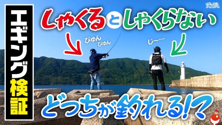 【疑問】エギング検証！シャクリ方で釣果は変わるのか？試してみたらイカが？