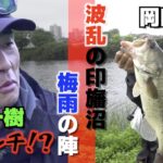 オリキン・オカショー印旛沼おかっぱりバス釣り【リベンジ編】