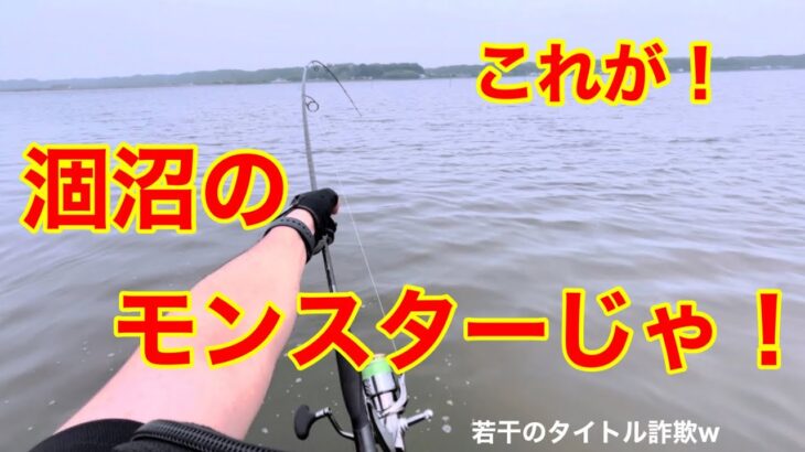 【シーバス釣行】久しぶりの涸沼はやっぱり最高だった件