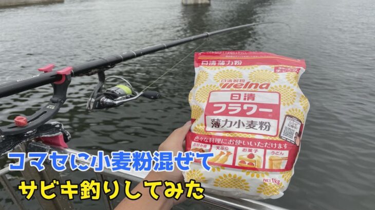 コマセに小麦粉混ぜてサビキ釣りしてみた