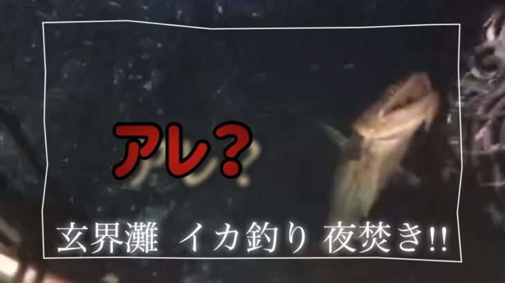 【玄界灘イカ釣り】夜焚きイカ釣り！景色もきれい！魚種も豊富！あれ？