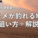 ヒラメが釣れる地形 　狙い方＋解説