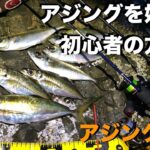 【アジング】誰も教えてくれないアジの釣り方は簡単です。