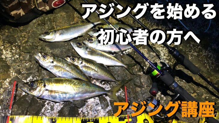 【アジング】誰も教えてくれないアジの釣り方は簡単です。