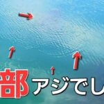 【アジング】10cmアンダーを攻略。大量に湧くアジ！反応しないアジの釣り方