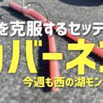 琵琶湖内湖カバーネコ最強セッティング解説 そして再び西の湖モンスター!2022.7.23