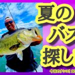 【今日のナンコ！2022.7.31】夏のバスの探し方【琵琶湖バス釣り】