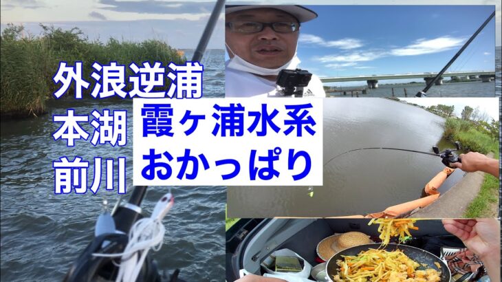 【霞ヶ浦】外浪逆浦　前川　北利根川バス釣りデイキャンププリウス車中飯2022年7月13日