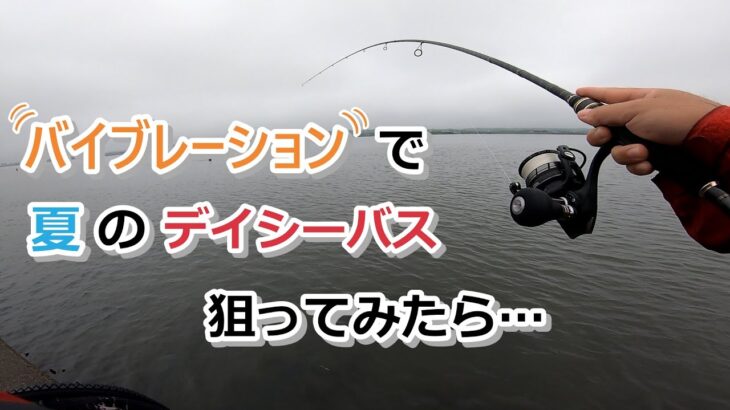 バイブレーションで夏のデイシーバスを狙ってみたら…【2022年7月16日】