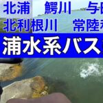 【霞ヶ浦水系】バス釣りポイントガイド北浦　鰐川　与田浦　北利根川　常陸利根川2022年7月24日