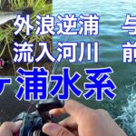 【バズベイト】霞ヶ浦バス釣りポイントガイド流入　外浪逆浦　前川　神之池2022年7月29日