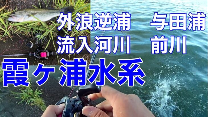 【バズベイト】霞ヶ浦バス釣りポイントガイド流入　外浪逆浦　前川　神之池2022年7月29日