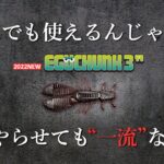 [2022新製品]　“何をやらせても一流なワーム“　「EGUCHUNK 3inch」