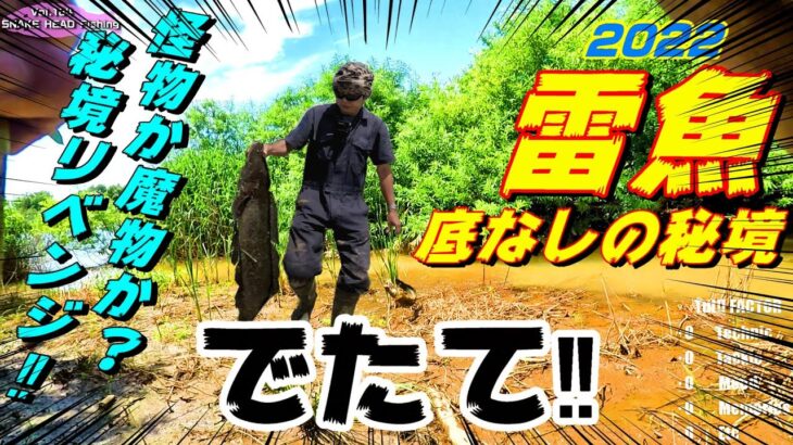 雷魚☆人跡未踏の秘境の変貌に愕然!未知のルアーに遭遇し発狂する個体!2022フロッグゲームsnakehead