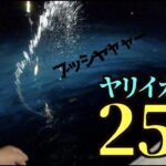 この釣り凄い！夜焚きイカメタルで250杯オーバーのヤリイカ捕獲！エギカラーを変えた途端にラッシュ到来？デカヤリイカが釣れまくる、釣り方・釣れ方をご紹介。玄海灘遊漁船での釣り【釣りング】