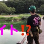埼玉バス釣りポイント　大沼　天神沼　和名沼　3点責めしてみた。