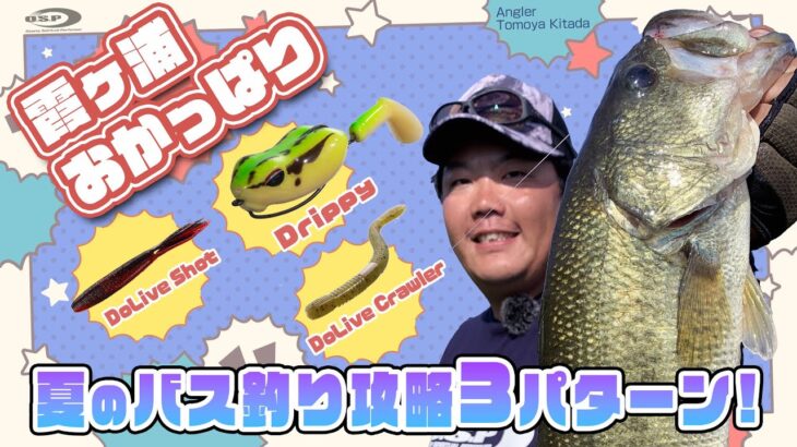 【霞ヶ浦おかっぱり】夏のバス釣り攻略3パターン！釣れるアイテムローテ術【北田朋也】