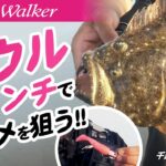 【ヒラメルアー】サーフでヒラメを狙う！ハウル3インチの使い方