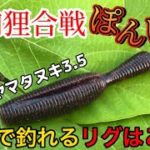 【バス釣り】ヤマタヌキ3.５絶対このリグが1番釣れる！【野池】で実釣して検証してみた【ゲーリー】