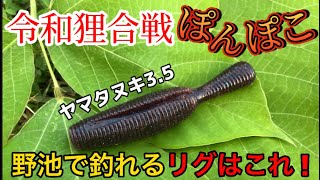 【バス釣り】ヤマタヌキ3.５絶対このリグが1番釣れる！【野池】で実釣して検証してみた【ゲーリー】