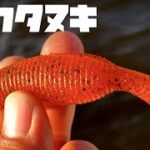 【バス釣り】落ぱくシーズン到来！ゲーリーヤマモト「ヤマタヌキ3.5inch /3.5″YAMATANUKI」大遠投で狙い打つ【バスの釣り方】