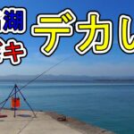 【#36】浜名湖でサビキ釣りするなら今がチャンス！！