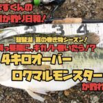 琵琶湖｢真っ昼間にギガノト巻いたら！？ 4キロオーバー、ロクマルモンスターが釣れた！｣(なまずくんの毎日が釣り日和！)