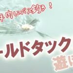 オールドタックルで遊ぼか 4-4　【下野流BASIC】