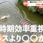 【八郎潟 バス釣り】効率重視で40アップ3連続!!! 流行りのロングワームやフィネスより今の時期なら〇〇がオススメ！！