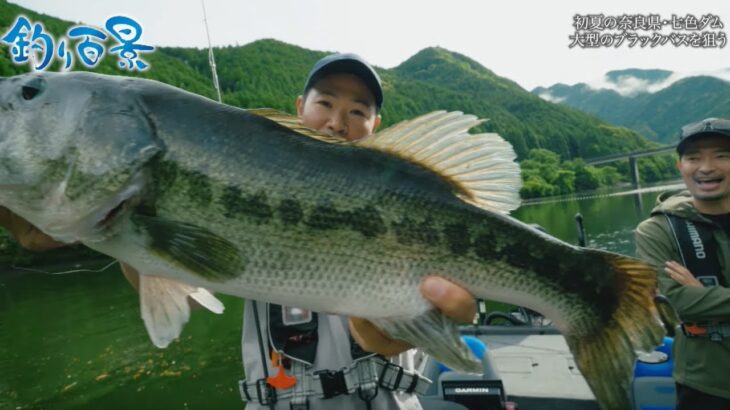 【釣り百景】#442  初夏の奈良県・七色ダム 大型のブラックバスを狙う！