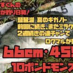 琵琶湖 夏のギガノト｢66cm･4590g 10ポンドモンスター！｣(なまずくんの毎日が釣り日和！)