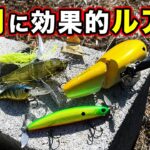 【バス釣り】7月おすすめハードルアーを紹介！使い所や初夏・急な雨での使い方のコツを解説してみた【初夏】【アーリーサマー】【アフタースポーン】【猛暑】